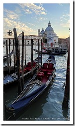 Venecia 2021 - Gran Canal La Salute y gondolas